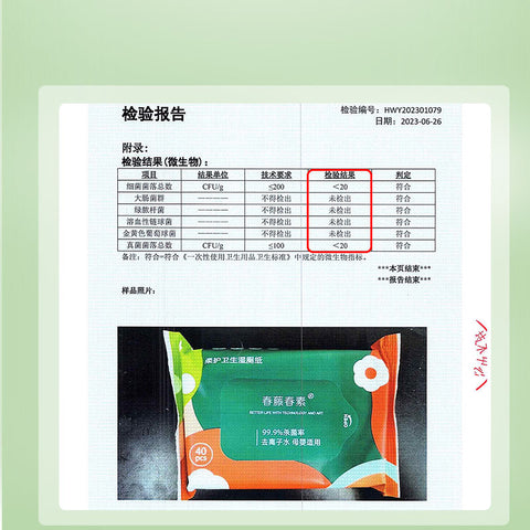 Gentle Care Flushable Wet Toilet Wipes