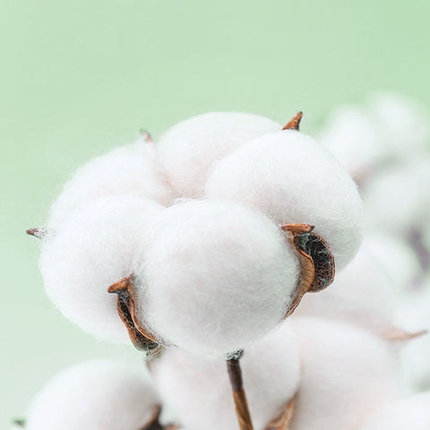 Baby Umbilical Cord Protection Elastic Strap