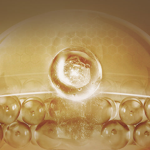 FORHYGGE Creme Serum Raffermissante Anti-ride Parfait